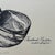 Illustration Vintage Carolyn T. Young Signed Seashell Prints, Set of 5 With Original Portfolio For Sale - Image 3 of 16