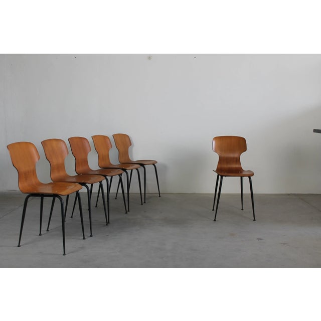 Wood Plywood Chairs by Carlo Ratti for Industria Legni Curvati Lissone, 1950, Set of 6 For Sale - Image 7 of 7