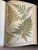 Heath's Fern Portfolio, 1885 Complete With 15 Chromolithographs For Sale - Image 14 of 18