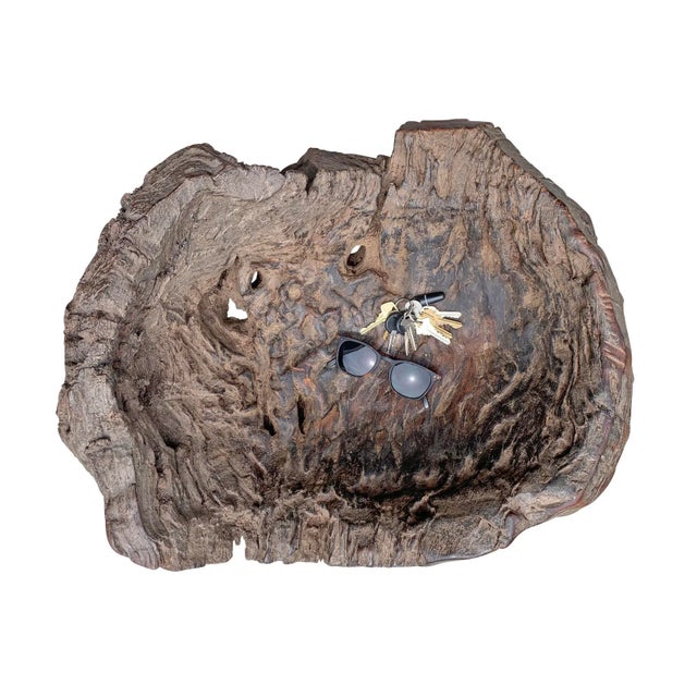 Wood Massive Burl Wood Bowl For Sale - Image 7 of 12