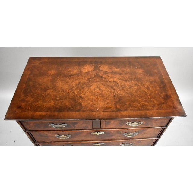 Brown George III Burr Walnut Chest of Drawers, 1800s For Sale - Image 8 of 10
