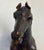 Victorian Leather Horse Sculpture, Late 19th Century For Sale - Image 16 of 18