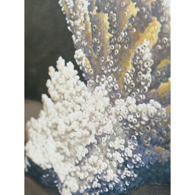 Large Coastal Gee Clay, Framed For Sale - Image 4 of 10