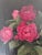 Vintage Original Floral Rose Still Life Oil Painting For Sale - Image 6 of 13