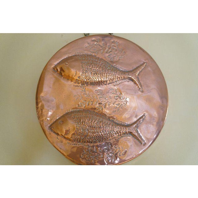 A large vintage decorative copper mold featuring two raised fish in relief with seaweed-style detailing across the body....