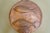 A large vintage decorative copper mold featuring two raised fish in relief with seaweed-style detailing across the body....