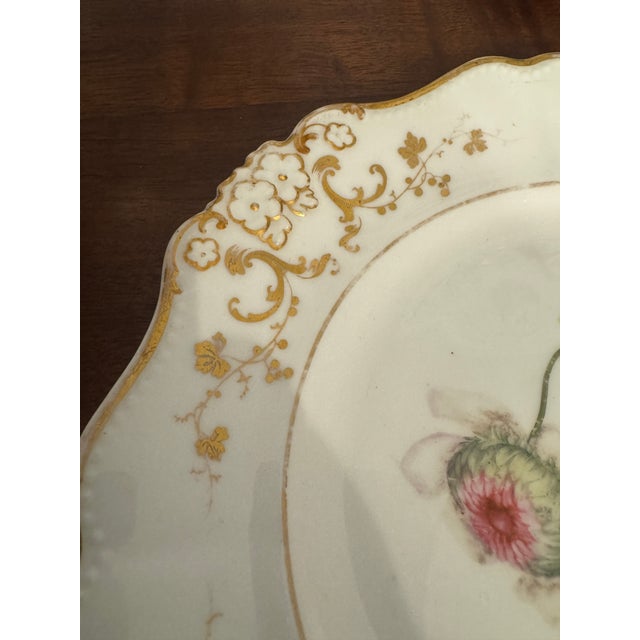 Early 19th Century English Botanical Porcelain Plate For Sale - Image 9 of 9