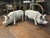 Painted White Cast Iron Pigs, Set of 2 For Sale - Image 12 of 15