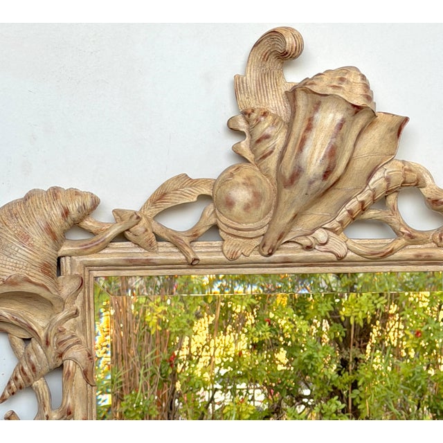 Italian Hand-Carved Shell and Coral Reef Mirror with Beveled Glass, Late 20th Century This striking Italian wall mirror is...