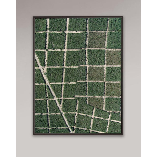 Not Yet Made - Made To Order Bernhard Lang, AV_Forests_in_Formation_002, Aerial View, 2025, Print For Sale - Image 5 of 7