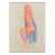 1990 Neil Meitzler Pink and Blue Female Nude For Sale