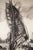 Kcho (Alexis Leyva Machado) Charcoal on Canvas Boat Scene – 37” H X 30 ½” W About the Artist Alexis Leyva Machado, known...