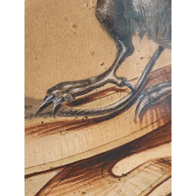 Coachbuilders Design for a Jewellers Trade Carriage, 1769, Gouache and Ink on Paper For Sale - Image 11 of 18