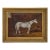 Antique English Oil Painting of a White Horse in Giltwood Frame, circa 1884 For Sale