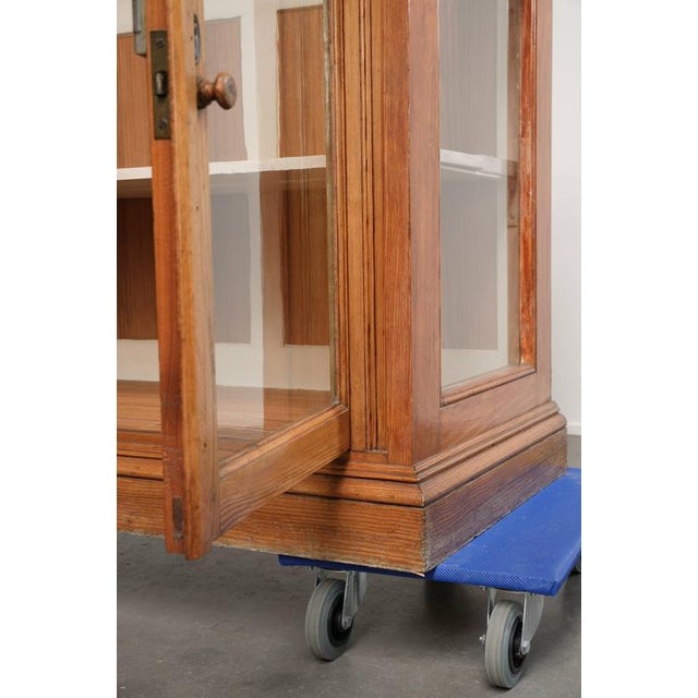 Vintage Museum Cabinet with Doors and Removable Shelves For Sale - Image 15 of 16