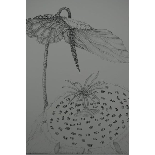 Gochka Charewicz The Arum Original lithograph Signed in pencil Limited edition of 29 (the number pictured is provided as...