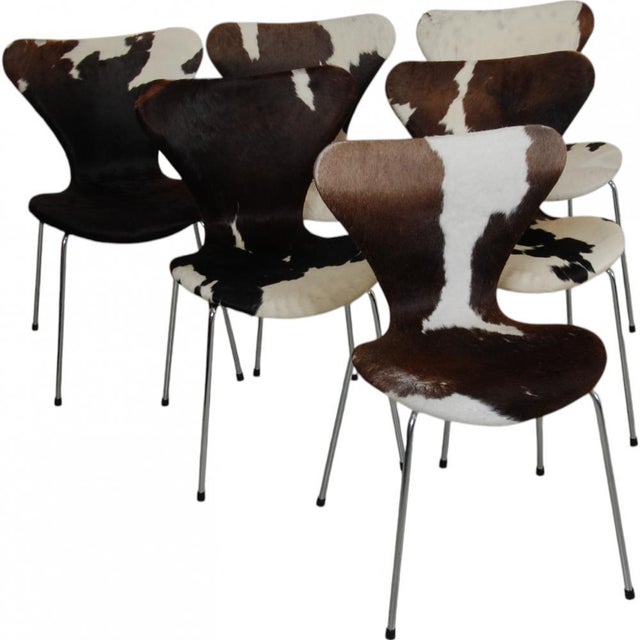 Set of four Arne Jacobsen Seven chairs upholstered in cow hide. The chairs are originally from around the 2000s, but was...