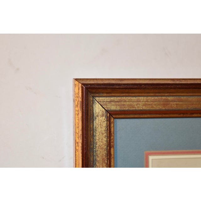 19th century W.H. Lizars copper engraving which has been hand-colored. the subject of the engraving is a Common Guilemote...