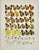 Illustration Adalbert Seitz Butterfly Prints – Colias & Colias (C. 1909–1915), Set of 2 For Sale - Image 3 of 3