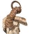 Didymoceras Stevensoni Heteromorph Ammonite Fossil on Matrix, South Dakota. For Sale - Image 9 of 12