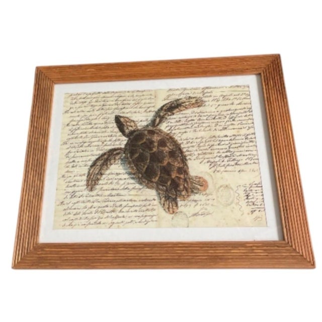 2000 - 2009 Vintage Sea Turtle Script Art Print in Fluted Wooden Frame For Sale - Image 5 of 12