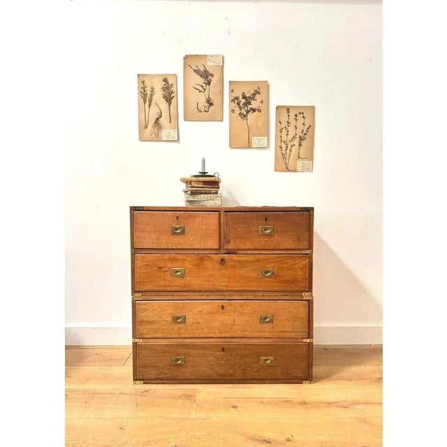 A beautiful 19th-century military campaign chest of drawers , with brass handles and finishings, probably mahogany or...