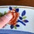 Antique Mason’s Patent Ironstone Well and Tree Platter, Imari Palette, 18¾", Circa 1820-1840 For Sale - Image 14 of 18