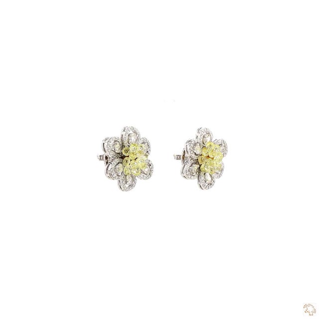 5.38 Carat Briolette Diamond Gold Earrings, Pair For Sale - Image 9 of 9