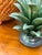 Vintage Monumental Hilario Alejo Madrigal Glazed Terracotta Pineapple For Sale - Image 12 of 14