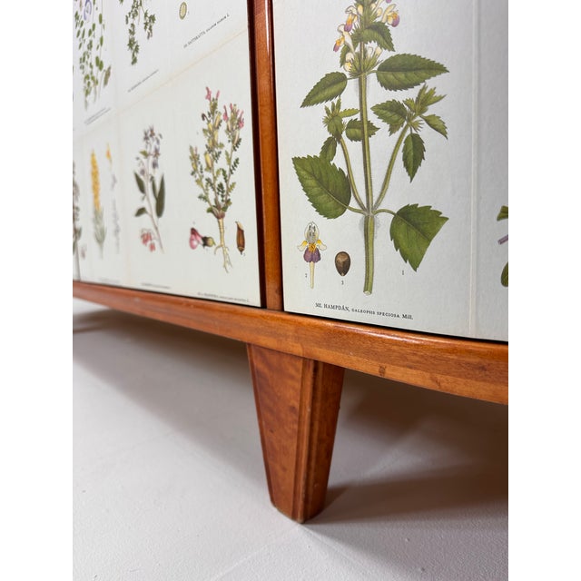 Wood 1940's Swedish Cabinet With Nordens Flora Illustrations For Sale - Image 7 of 12