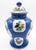 Chinese powder-blue and famille verte porcelain ginger jar with cover, floral and dragonfly motifs, likely dating from the...