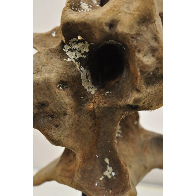 Vintage Abstract Sculpted Wood Sculptural Free Form Table Sculpture For Sale In Philadelphia - Image 6 of 12