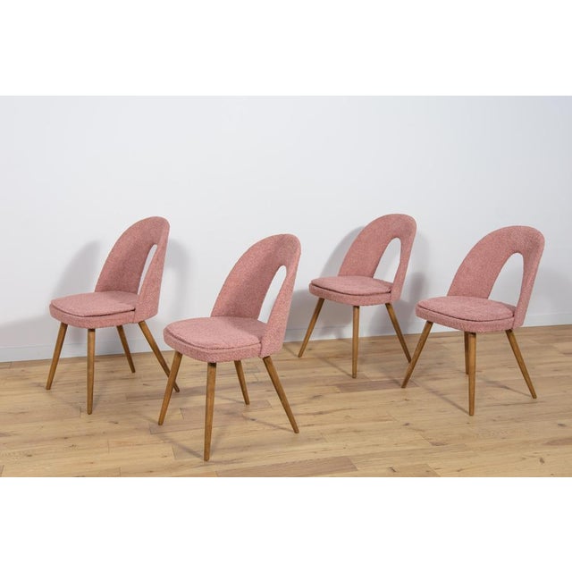 Mid-Century Modern Dining Chairs by Antonín Šuman for Tatra, 1960s, Set of 4 For Sale - Image 3 of 18