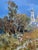 Oil Painting the Moonlight Illuminates Yuriy Suprunchuk For Sale - Image 10 of 12