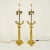 French A Fine Pair of French Charles X Gilt Bronze Candelabra Mounted as Lamps For Sale - Image 3 of 11