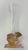 Daum France Soliflore Roses Crystal Vase With Pate De Verre Floral Base Signed For Sale - Image 11 of 17
