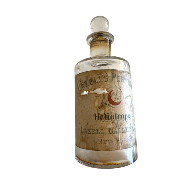 Antique Lazell, Dalley & Co. "Heliotrope" Perfume Bottle For Sale - Image 4 of 11