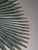 Fan Palm Bronze and Brass Table Lamp from Valenti, 1970s For Sale - Image 17 of 18