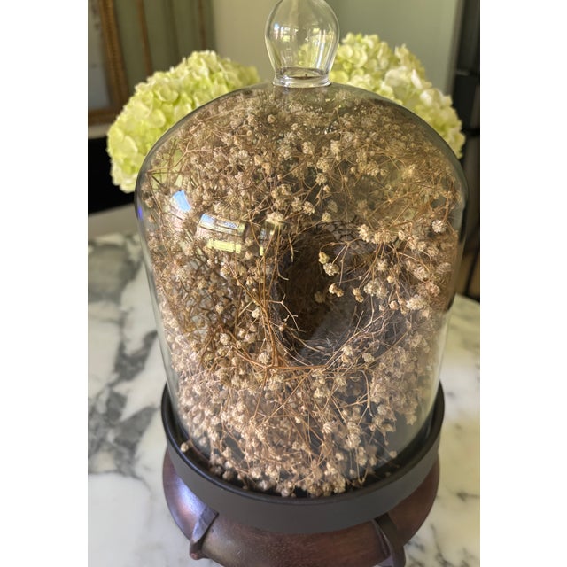 Cabinet of Curiosities Glass Cloche With Bird’s Nest Wrapped in Dried Gypsophila on Decorative Asian Wooden Stand For Sale - Image 9 of 15