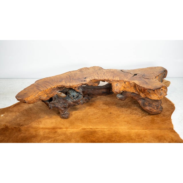 Vintage American Primitive Burlwood Live Edge Coffee Table For Sale - Image 4 of 18