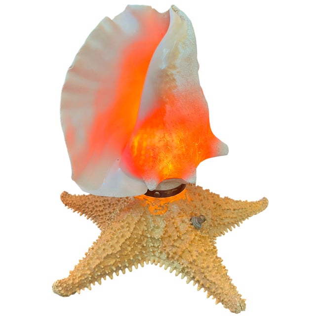Vintage Natural Conch Shell & Starfish Coastal Table Lamps - a Pair For Sale - Image 10 of 18