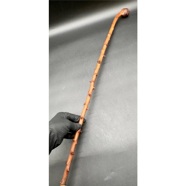 Antique Irish Blackthorn Burled Wood Shillelagh For Sale - Image 9 of 15
