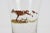 Rustic Vintage Mid-Century Fox & Hound Cordial Glasses - A Pair For Sale - Image 3 of 5