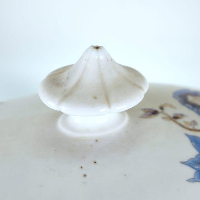 Ceramic Soup Tureen with Floral Decorations from Ginori For Sale - Image 7 of 15