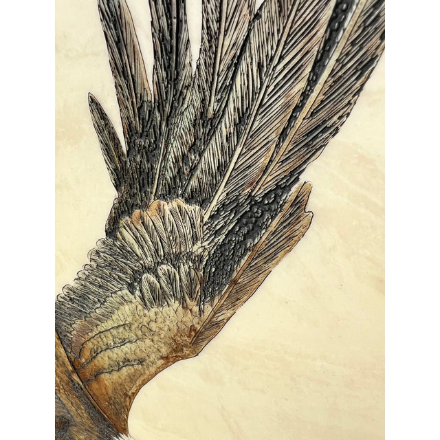 American Large Framed Vintage Eagle Faux Marble Carving by d.r. Miller For Sale - Image 3 of 11
