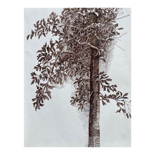 1993 Ron Yrabedra Drawing of Tree For Sale