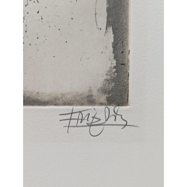 1980s Johnny Friedlaender, Plant Kingdom, 1983, Etching For Sale - Image 5 of 6