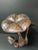 Folk Art Vintage Carved Solid Wood Mushroom Sculpture For Sale - Image 3 of 10
