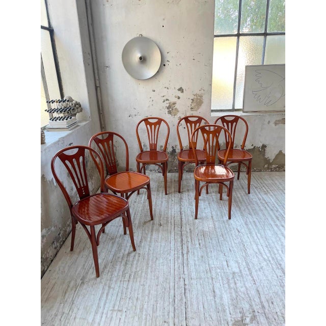 Vintage Bistro Chairs, 1950s, Set of 6 For Sale - Image 3 of 18