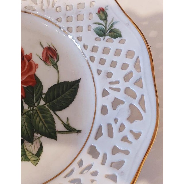 Antique Plate Classic Roses No 1 by Pierre Joseph Redouté for Schumann, 1960s For Sale - Image 4 of 9